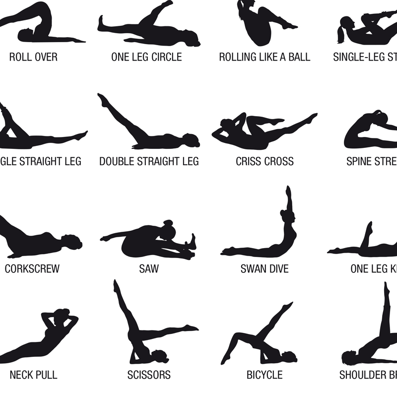 Póster de tabla de entrenamien - Sustainable Living Guide reseña y precio